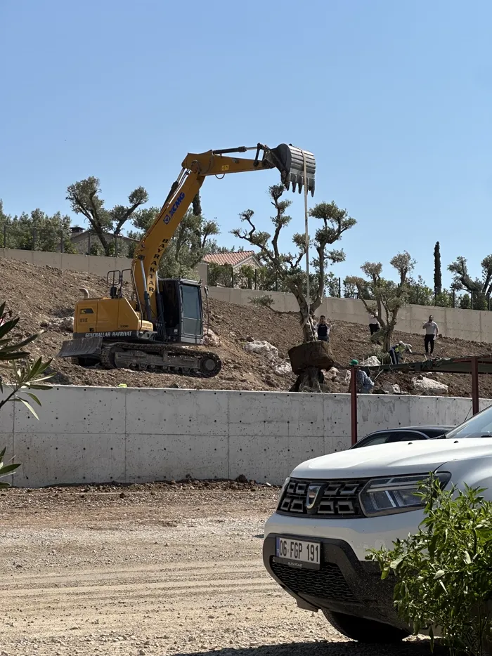 Peyzaj altyapısı — ince tesviye